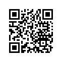 13031-410-601 Ring set (os) (0.50)