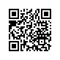13031-504-305 Ring set (os) (0.50)