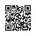 13031-HA0-306 RING SET,PISTON (