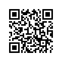 13031-KF0-003 RING PISTON(0.50)