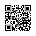 13031-KS4-305 RING SET,PISTON (