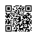 130333005 Bearing-small End