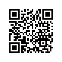 13040-028-020 Ring Set (os) (0.75)