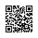 13040-275-000 Ring set (os) (0.75)