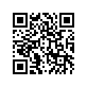 13041-0035 BALANCER