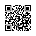 13041-0040 BALANCER