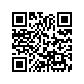 13041-030-000 RING SET (OS) (0.75)