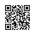 13041-1077 BALANCER