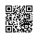 13041-364-000 Ring set (os) (0.75)