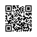 13041-392-000 Ring set (os) (0.75)