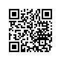 13041-410-601 Ring set (os) (0.75)