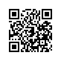 130410021 Balancer, Weight