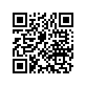 13051-126-752 Комплект колец