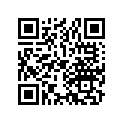 13051-374-000 Ring set (1.00)