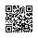 13051-383-000 Ring set (1.00)