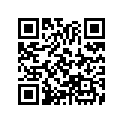 13051-383-621 Ring set (1.00)