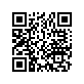 13051-504-305 Ring set (1.00)