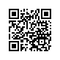 13078-Y004 RATCHET