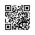 130911001 Holder-mflr Connect