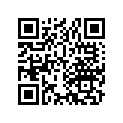 13100-358-000 Piston