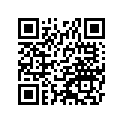13101-1141 ギヤアツシ，フロント ベベル