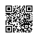 13101-365-000 Piston (std)