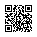 13101-KRN-A80 Piston