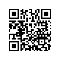 13101-MBW-M11 Piston