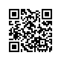 13101-MG3-000 Piston