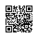 13101-MKF-D60 PISTON