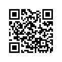13101-ZE7-010 SSBY-11-13101-ZE7-020-PISTON(STD)