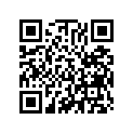 13102-002-000 Piston (os) (0.25)
