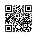 13102-011-010 Piston (os) (0.25)