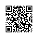 13102-028-314 Piston (os) (0.25)