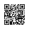 13102-030-000 Piston (os) (0.25)