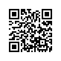 13102-035-010 Piston (os) (0.25)