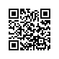 13102-081-505 Piston (0.25)