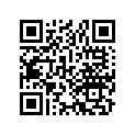 13102-147-010 Piston (os) (0.25)