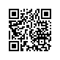 13102-217-000 Piston (os) (0.25)