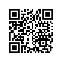 13102-240-000 Piston (os) (0.25)