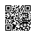 13102-259-010 Piston (os) (0.25)
