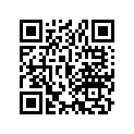 13102-268-010 Piston (os) (0.25)