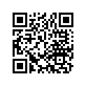 13102-300-030 PISTON (OS) (0.25)