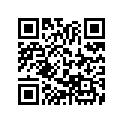 13102-330-000 PISTON