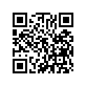 13102-355-000 Piston (os) (0.25)