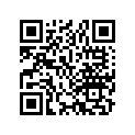 13102-360-003 Piston (os) (0.25)