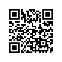 13102-361-003 Piston (os) (0.25)