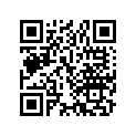 13102-365-000 Piston (os) (0.25)