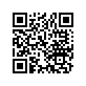 13102-371-000 Piston (os) (0.25)