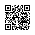 13102-377-000 PISTON (0.25)